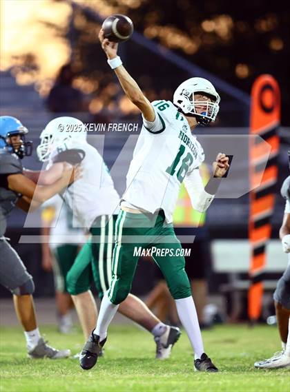 Thumbnail 3 in FR: Horizon @ Cactus photogallery.