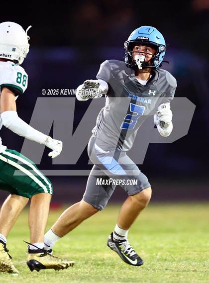 Thumbnail 2 in FR: Horizon @ Cactus photogallery.