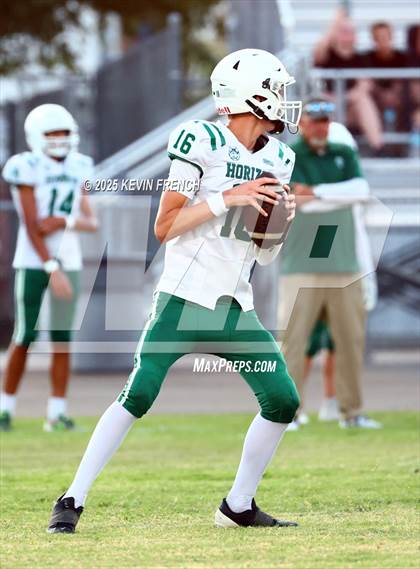 Thumbnail 2 in FR: Horizon @ Cactus photogallery.