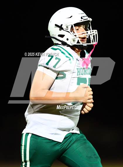 Thumbnail 2 in FR: Horizon @ Cactus photogallery.