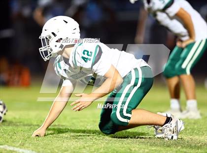 Thumbnail 2 in FR: Horizon @ Cactus photogallery.