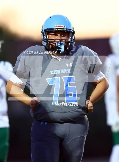 Thumbnail 1 in FR: Horizon @ Cactus photogallery.