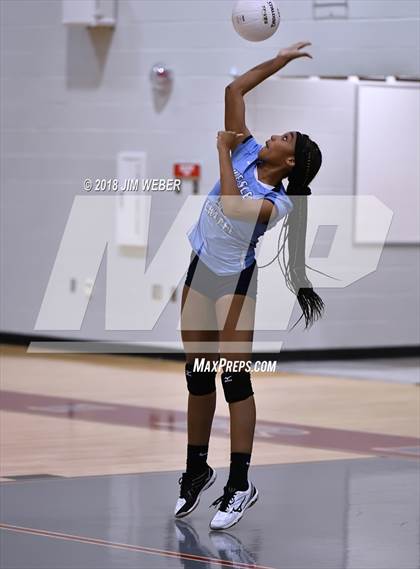 Thumbnail 3 in Wesley Chapel @ Wiregrass Ranch photogallery.
