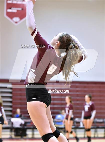Thumbnail 1 in Wesley Chapel @ Wiregrass Ranch photogallery.