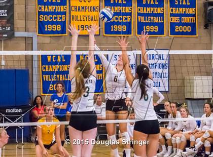 Thumbnail 3 in Palo Alto vs. Saint Francis (Presentation Panther Challenge) photogallery.