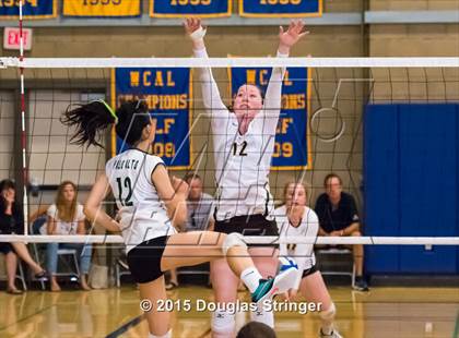 Thumbnail 2 in Palo Alto vs. Saint Francis (Presentation Panther Challenge) photogallery.