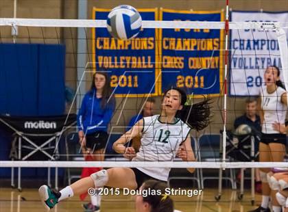 Thumbnail 2 in Palo Alto vs. Saint Francis (Presentation Panther Challenge) photogallery.