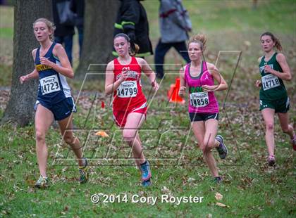 Thumbnail 3 in DCSAA Girls Cross Country Championships photogallery.