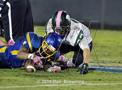 Thumbnail 3 in Webb @ Donelson Christian Academy photogallery.