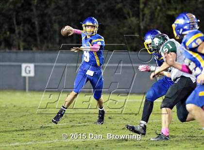 Thumbnail 1 in Webb @ Donelson Christian Academy photogallery.