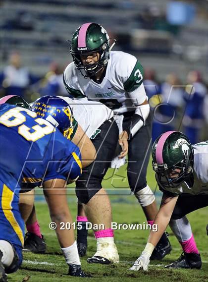 Thumbnail 2 in Webb @ Donelson Christian Academy photogallery.