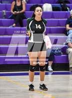 Photo from the gallery "Argonaut @ Bret Harte"