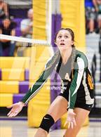Photo from the gallery "Argonaut @ Bret Harte"