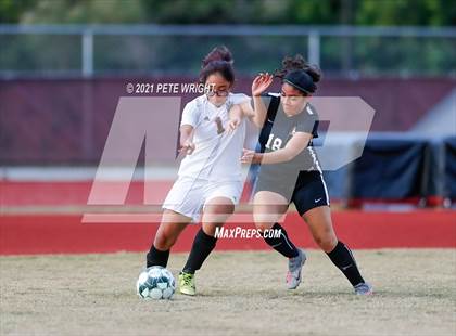 Thumbnail 1 in Palmetto @ Braden River photogallery.
