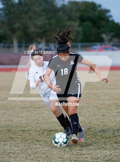 Thumbnail 2 in Palmetto @ Braden River photogallery.