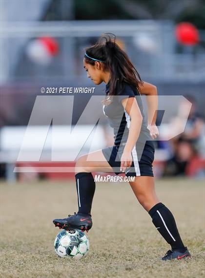 Thumbnail 3 in Palmetto @ Braden River photogallery.