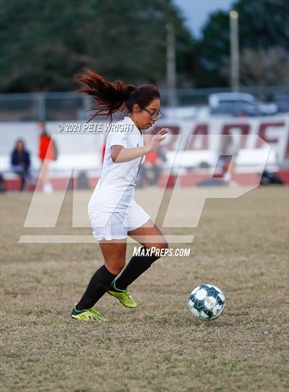 Thumbnail 3 in Palmetto @ Braden River photogallery.