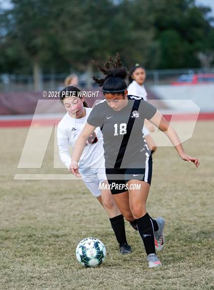 Thumbnail 3 in Palmetto @ Braden River photogallery.