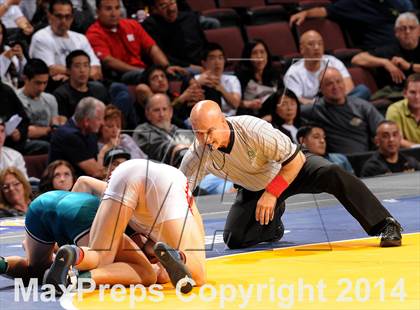 Thumbnail 3 in CIF State Wrestling Championships (Finals) photogallery.
