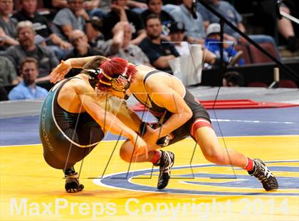 Thumbnail 2 in CIF State Wrestling Championships (Finals) photogallery.