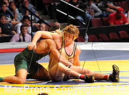 Thumbnail 2 in CIF State Wrestling Championships (Finals) photogallery.