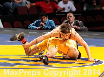 Thumbnail 2 in CIF State Wrestling Championships (Finals) photogallery.