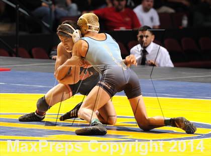 Thumbnail 1 in CIF State Wrestling Championships (Finals) photogallery.