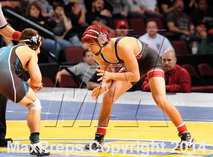 Thumbnail 3 in CIF State Wrestling Championships (Finals) photogallery.