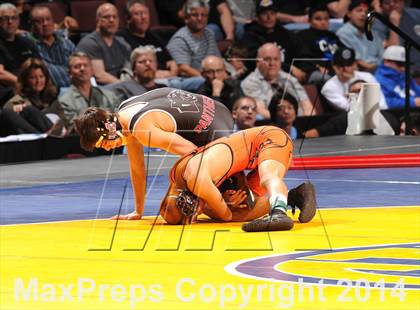 Thumbnail 2 in CIF State Wrestling Championships (Finals) photogallery.