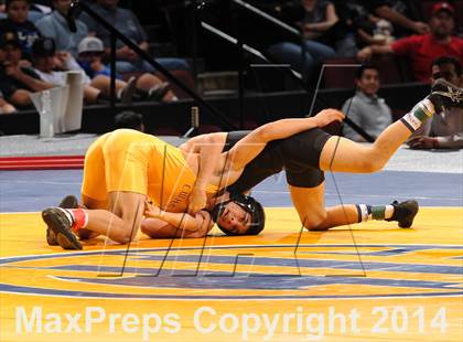 Thumbnail 2 in CIF State Wrestling Championships (Finals) photogallery.