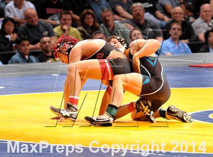 Thumbnail 1 in CIF State Wrestling Championships (Finals) photogallery.