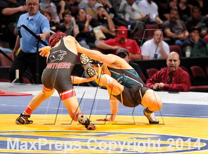 Thumbnail 3 in CIF State Wrestling Championships (Finals) photogallery.