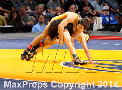 Thumbnail 2 in CIF State Wrestling Championships (Finals) photogallery.