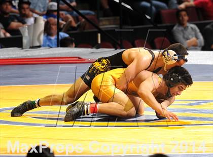 Thumbnail 3 in CIF State Wrestling Championships (Finals) photogallery.