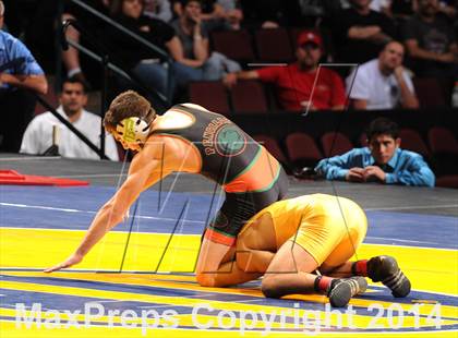 Thumbnail 1 in CIF State Wrestling Championships (Finals) photogallery.