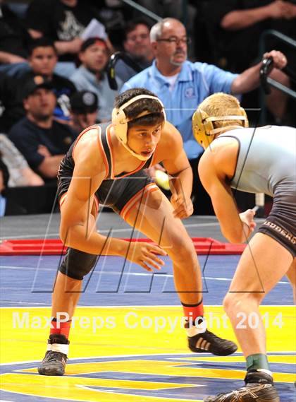 Thumbnail 2 in CIF State Wrestling Championships (Finals) photogallery.