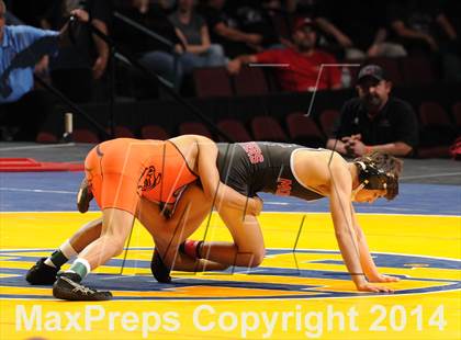 Thumbnail 3 in CIF State Wrestling Championships (Finals) photogallery.