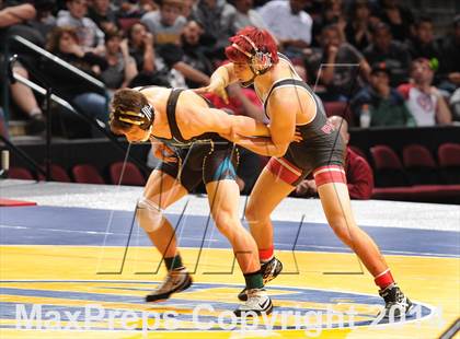 Thumbnail 2 in CIF State Wrestling Championships (Finals) photogallery.