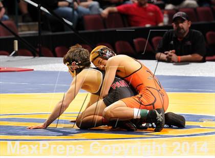 Thumbnail 1 in CIF State Wrestling Championships (Finals) photogallery.