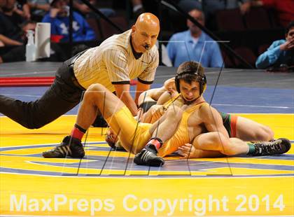 Thumbnail 3 in CIF State Wrestling Championships (Finals) photogallery.