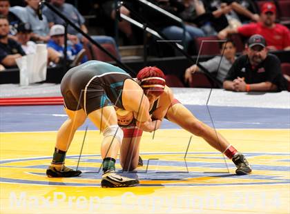 Thumbnail 3 in CIF State Wrestling Championships (Finals) photogallery.