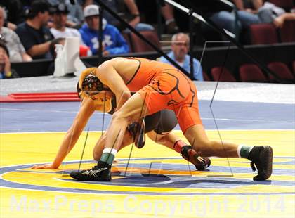 Thumbnail 3 in CIF State Wrestling Championships (Finals) photogallery.
