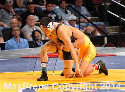 Thumbnail 2 in CIF State Wrestling Championships (Finals) photogallery.