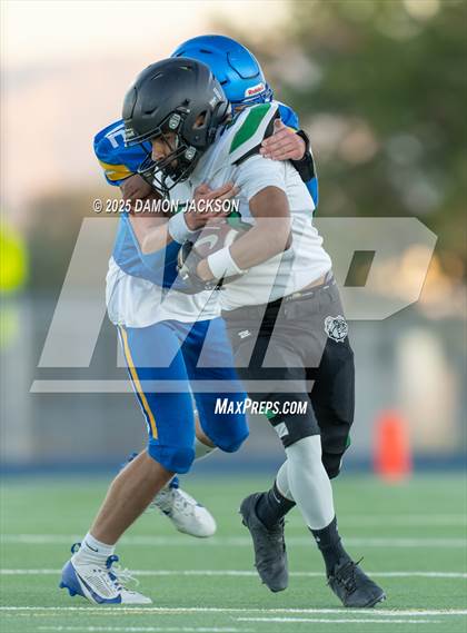 Thumbnail 1 in JV: Virgin Valley @ Moapa Valley photogallery.