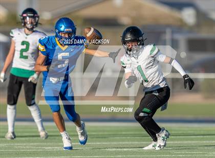 Thumbnail 2 in JV: Virgin Valley @ Moapa Valley photogallery.