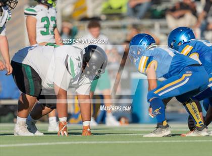 Thumbnail 3 in JV: Virgin Valley @ Moapa Valley photogallery.