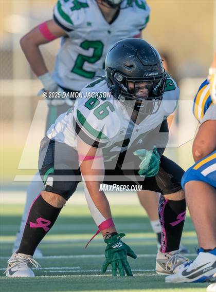 Thumbnail 3 in JV: Virgin Valley @ Moapa Valley photogallery.
