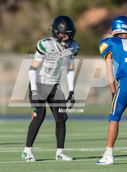 Thumbnail 3 in JV: Virgin Valley @ Moapa Valley photogallery.