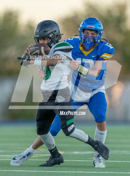 Thumbnail 3 in JV: Virgin Valley @ Moapa Valley photogallery.