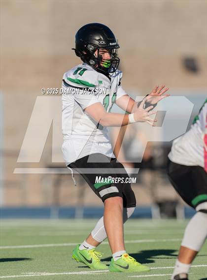 Thumbnail 3 in JV: Virgin Valley @ Moapa Valley photogallery.